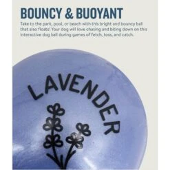 Planet Dog Orbee-Tuff Essentials Lavender Scented Interactive Dog Ball Treat Dispenser Toy, Purple -Dog Supplies Shop 367761 PT3. AC SS1800 V1675356950