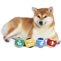 Fetch For Pets Harry Potter 4PK Hogwarts Pride Tennis Ball Dog Toy -Dog Supplies Shop 367787 PT4. AC SS1800 V1645229238
