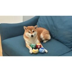 Fetch For Pets Harry Potter 4PK Hogwarts Pride Tennis Ball Dog Toy -Dog Supplies Shop 367787 PT6. AC SS1800 V1645230706