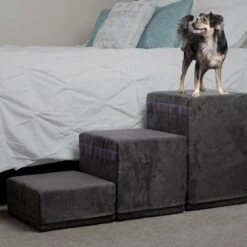 Royal Ramps 2-Step Dog & Cat Stairs 19 Royal Ramps 2-Step Dog & Cat Stairs -Dog Supplies Shop 368351 PT8. AC SS1800 V1645587790