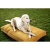 Sunbrella By Austin Horn Collection Indoor/Outdoor Double Sided Elevated Dog Bed -Dog Supplies Shop 368986 MAIN. AC SS1800 V1648074398