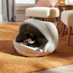 STAR WARS THE MANDALORIAN GROGU Covered Cat & Dog Bed & STAR WARS THE MANDALORIAN GROGU Pram Covered Cat & Dog Bed 19 STAR WARS THE MANDALORIAN GROGU Covered Cat & Dog Bed & STAR WARS THE MANDALORIAN GROGU Pram Covered Cat & Dog Bed -Dog Supplies Shop 370390 PT8. AC SS1800 V1645808501