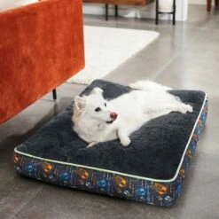 STAR WARS THE MANDALORIAN GROGU Pillow Cat & Dog Bed & STAR WARS THE MANDALORIAN GROGU Bolster Cat & Dog Bed -Dog Supplies Shop 370398 PT4. AC SS1800 V1645808808