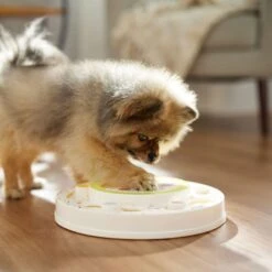 Frisco Tiered Cake Interactive Puzzle Dog Toy, Easy 14 Frisco Tiered Cake Interactive Puzzle Dog Toy, Easy -Dog Supplies Shop 506346 PT5. AC SS1800 V1674666566