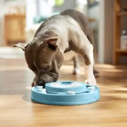 Frisco Two Tier Interactive Puzzle Dog Toy, Easy -Dog Supplies Shop 506370 PT5. AC SS1800 V1674671566