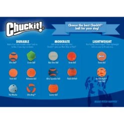 Chuckit! Indoor Ball Dog Toy 11 Chuckit! Indoor Ball Dog Toy -Dog Supplies Shop 53245 PT6. AC SS1800 V1534449162