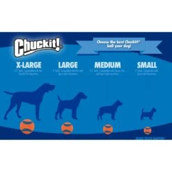 Chuckit! Indoor Ball Dog Toy 12 Chuckit! Indoor Ball Dog Toy -Dog Supplies Shop 53245 PT7. AC SS1800 V1534449168