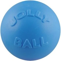 Jolly Pets Bounce-n-Play Dog Toy, Blueberry