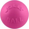 Jolly Pets Bounce-n-Play Dog Toy, Pink