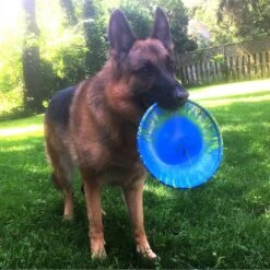 Ruff Dawg K9 Flyer Disc Dog Toy, Color Varies -Dog Supplies Shop 53795 PT2. AC SS1800 V1602328559