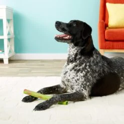 Ruff Dawg Stick Dog Fetch Toy, Color Varies -Dog Supplies Shop 53803 PT8. AC SS1800 V1507036192