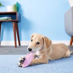 Ruff Dawg FlyingFish Dog Fetch Toy, Color Varies -Dog Supplies Shop 53808 PT7. AC SS1800 V1515535539