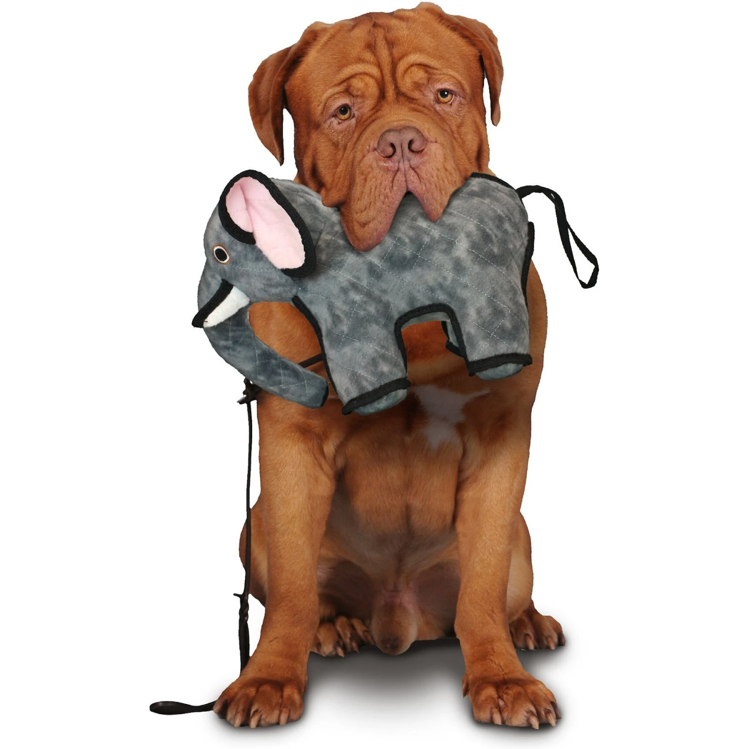 Tuffy's Emery Elephant Plush Dog Toy 5 Tuffy's Emery Elephant Plush Dog Toy - Image 3