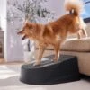 Frisco Plastic Easy Step Cat & Dog Stair 2 Frisco Plastic Easy Step Cat & Dog Stair -Dog Supplies Shop 542390 MAIN. AC SS1800 V1671829661