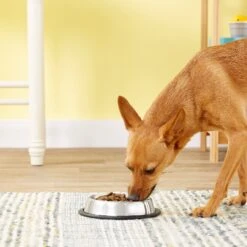 Loving Pets Non-Skid Stainless Steel Dog & Cat Bowl -Dog Supplies Shop 54395 PT1. AC SS1800 V1545257328