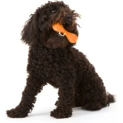 West Paw Zogoflex Hurley Tough Dog Chew Toy 14 West Paw Zogoflex Hurley Tough Dog Chew Toy -Dog Supplies Shop 58013 PT5. AC SS1800 V1521659641