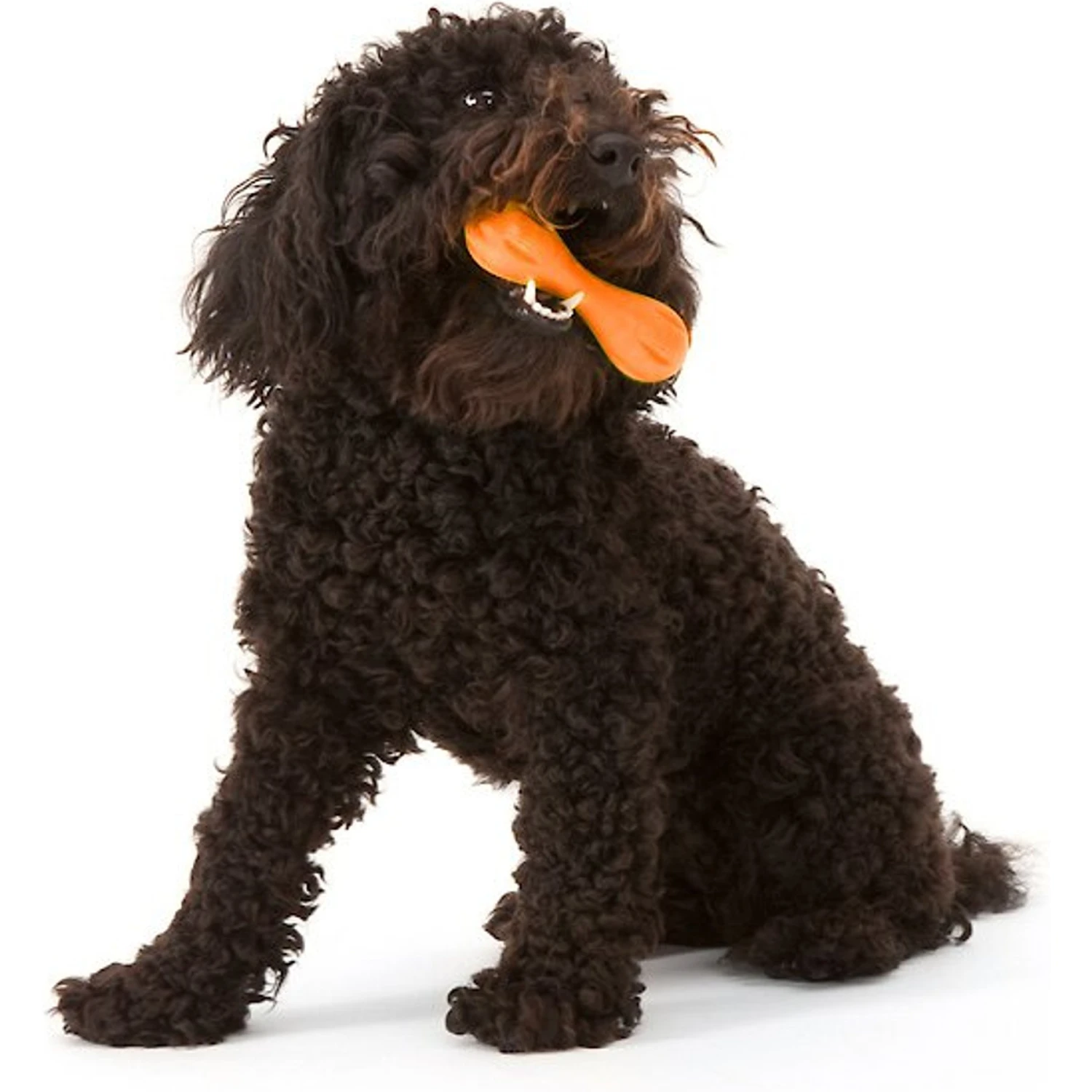 West Paw Zogoflex Hurley Tough Dog Chew Toy 8 West Paw Zogoflex Hurley Tough Dog Chew Toy - Image 6