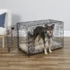 MidWest ICrate Fold & Carry Double Door Collapsible Wire Dog Crate 2 MidWest ICrate Fold & Carry Double Door Collapsible Wire Dog Crate -Dog Supplies Shop 60384 MAIN. AC SS1800 V1647555161