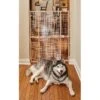 MidWest Wood/Wire Mesh Pet Gate 1 MidWest Wood/Wire Mesh Pet Gate -Dog Supplies Shop 60670 MAIN. AC SS1800 V1569011869