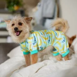 Frisco Go Bananas Dog & Cat Jersey PJs -Dog Supplies Shop 608998 PT6. AC SS1800 V1676642341