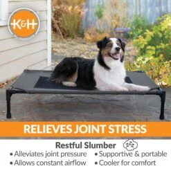 K&H Pet Products Original Pet Cot Elevated Dog Bed -Dog Supplies Shop 611958 PT5. AC SS1800 V1659484089