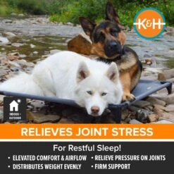 K&H Pet Products All Weather Elevated Dog Cot Bed, Gray -Dog Supplies Shop 613782 PT2. AC SS1800 V1660310453