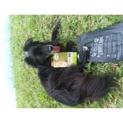 BioBag Standard Pet Waste Bags, 50 Count -Dog Supplies Shop 61624 PT3. AC SS1800 V1596031256