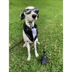 BioBag Standard Pet Waste Bags, 50 Count -Dog Supplies Shop 61624 PT5. AC SS1800 V1596031858