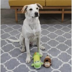 Petstages Monkey Stuffing-Free Squeaky Dog Plush Toy -Dog Supplies Shop 62012 PT4. AC SS1800 V1636508189