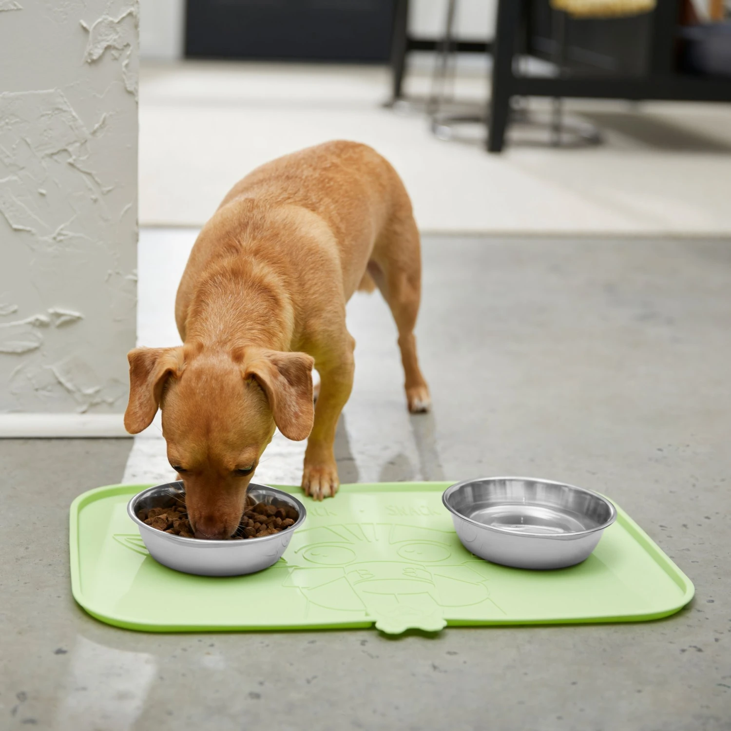 STAR WARS THE MANDALORIAN GROGU Nom Nom Silicone Dog & Cat Food Mat & STAR WARS THE MANDALORIAN GROGU AUREBESH Non-Skid Stainless Steel With Melamine Stand Dog & Cat Bowl 6 STAR WARS THE MANDALORIAN GROGU Nom Nom Silicone Dog & Cat Food Mat & STAR WARS THE MANDALORIAN GROGU AUREBESH Non-Skid Stainless Steel With Melamine Stand Dog & Cat Bowl - Image 4