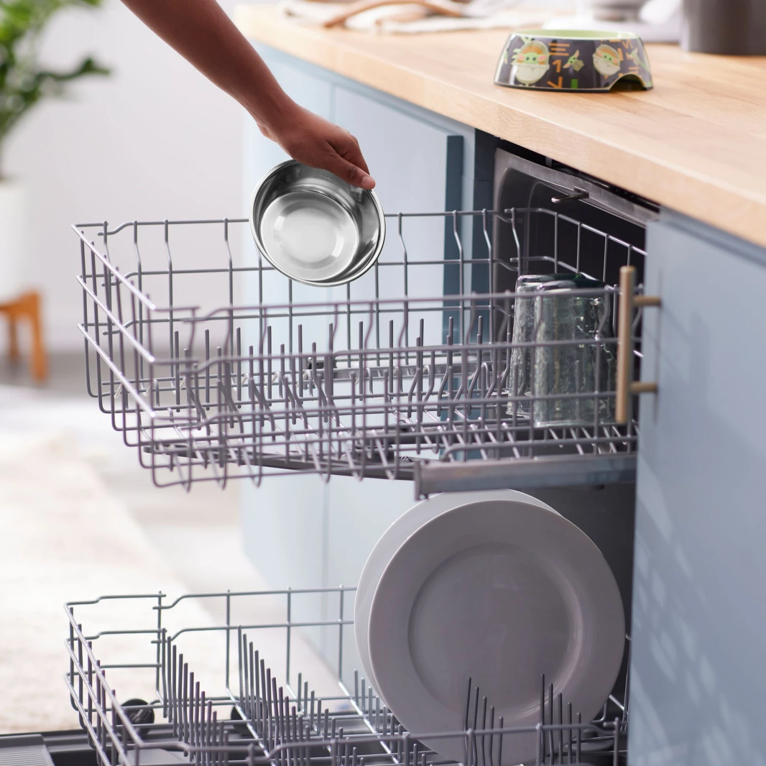 STAR WARS THE MANDALORIAN GROGU Nom Nom Silicone Dog & Cat Food Mat & STAR WARS THE MANDALORIAN GROGU AUREBESH Non-Skid Stainless Steel With Melamine Stand Dog & Cat Bowl 11 STAR WARS THE MANDALORIAN GROGU Nom Nom Silicone Dog & Cat Food Mat & STAR WARS THE MANDALORIAN GROGU AUREBESH Non-Skid Stainless Steel With Melamine Stand Dog & Cat Bowl - Image 9