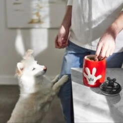 Disney Table Scraps Mickey Mouse Hot Diggity Dog Recipe Upcycled Jerky Dog Treats, 5-oz Bag & Disney Mickey Mouse Ceramic Dog & Cat Treat Jar 15 Disney Table Scraps Mickey Mouse Hot Diggity Dog Recipe Upcycled Jerky Dog Treats, 5-oz Bag & Disney Mickey Mouse Ceramic Dog & Cat Treat Jar -Dog Supplies Shop 623510 PT8. AC SS1800 V1661896152