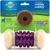 PetSafe Busy Buddy Nobbly Nubbly Treat Dispensing Tough Dog Chew Toy -Dog Supplies Shop 63196 MAIN. AC SS1800 V1602266566