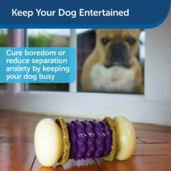 PetSafe Busy Buddy Nobbly Nubbly Treat Dispensing Tough Dog Chew Toy -Dog Supplies Shop 63196 PT3. AC SS1800 V1602324365