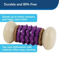 PetSafe Busy Buddy Nobbly Nubbly Treat Dispensing Tough Dog Chew Toy -Dog Supplies Shop 63196 PT4. AC SS1800 V1602338763