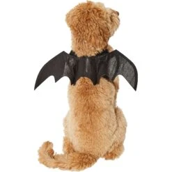 Frisco Bat Wings Dog & Cat Costume & Buckle-Down Batman Shield Polyester Dog Collar -Dog Supplies Shop 638566 PT3. AC SS1800 V1663254451