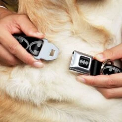 Frisco Bat Wings Dog & Cat Costume & Buckle-Down Batman Shield Polyester Dog Collar -Dog Supplies Shop 638566 PT6. AC SS1800 V1663254111