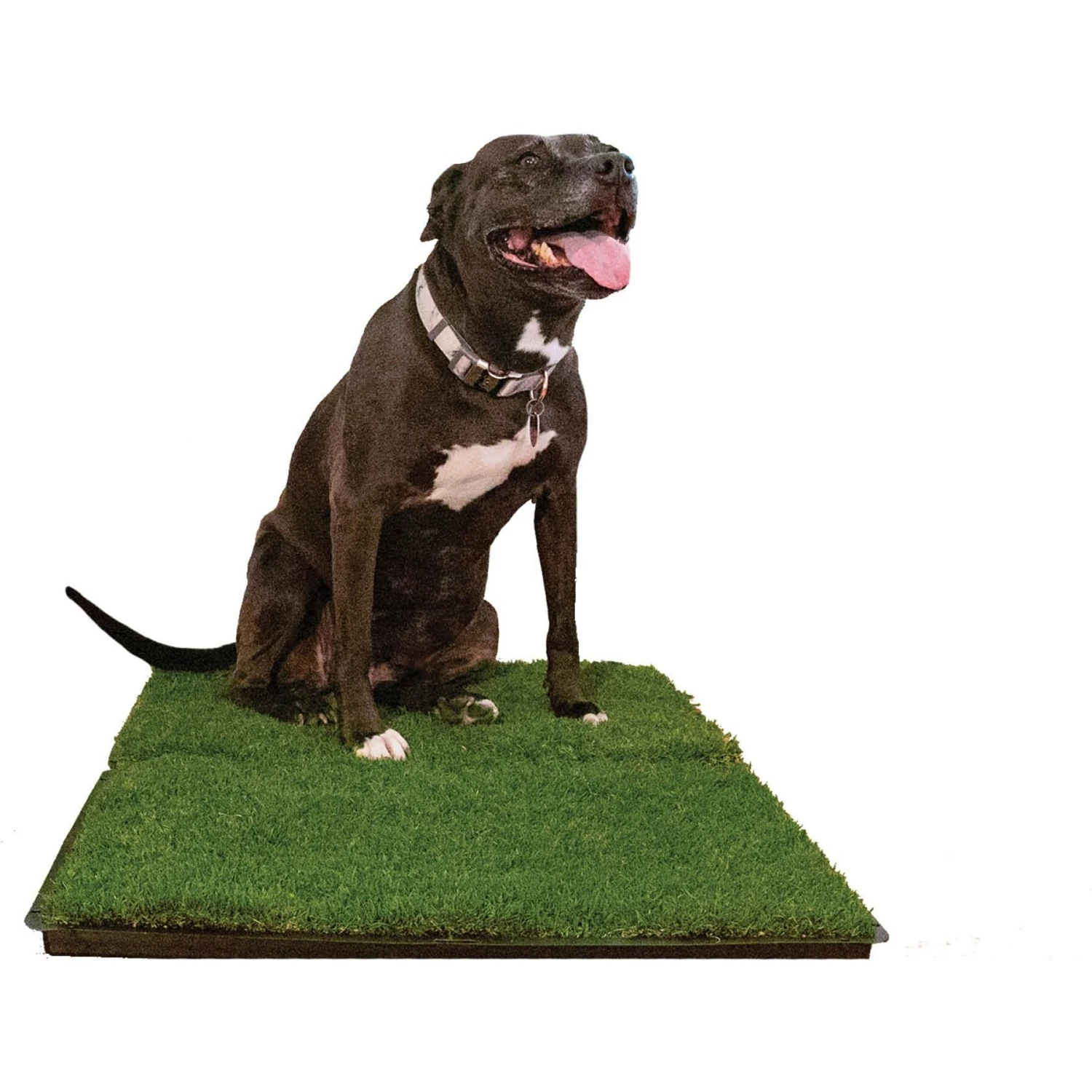 Gotta Go Grass The Natural Relief With Interlocking Tray Dog Potty Pads, 16-in X 24-in, 2 Count 7 Gotta Go Grass The Natural Relief With Interlocking Tray Dog Potty Pads, 16-in X 24-in, 2 Count - Image 5