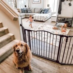 MyPet Windsor Extra Wide Arch Pet Gate For Dogs & Cats -Dog Supplies Shop 64596 PT1. AC SS1800 V1624611151