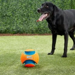 Chuckit! Kick Fetch Ball Dog Toy -Dog Supplies Shop 64758 PT2. AC SS1800 V1543519057