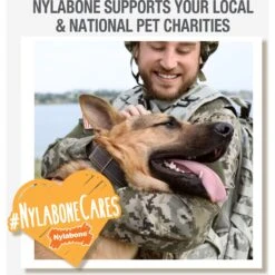 Nylabone Creative Play Eggi Dog Treat Toy, Blue, Large -Dog Supplies Shop 665686 PT8. AC SS1800 V1679080649