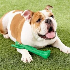 Multipet Gumby Rubber Dog Toy -Dog Supplies Shop 68059 PT2. AC SS1800 V1530544141