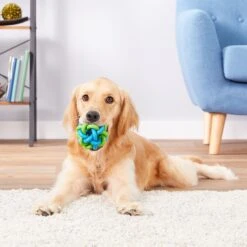 Multipet Nobbly Wobbly Ball Dog Toy, Color Varies 12 Multipet Nobbly Wobbly Ball Dog Toy, Color Varies -Dog Supplies Shop 68138 PT3. AC SS1800 V1545172125