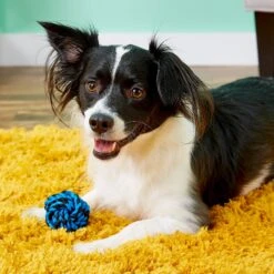 Multipet Nuts For Knots Ball Dog Toy, Color Varies -Dog Supplies Shop 68144 PT3. AC SS1800 V1530911477