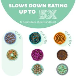 Outward Hound Fun Feeder Slo Tray Slow Feeder Dog Bowl 11 Outward Hound Fun Feeder Slo Tray Slow Feeder Dog Bowl -Dog Supplies Shop 684958 PT2. AC SS1800 V1694440048