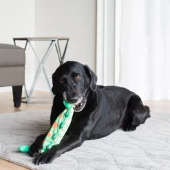 Fat Cat Water Bottle Crunchers Dog Toy, Character Varies 7 Fat Cat Water Bottle Crunchers Dog Toy, Character Varies -Dog Supplies Shop 68609 PT2. AC SS1800 V1602336363