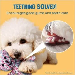 SunGrow Teddy Bear Dog & Small Pet Dental Chews Toy, 5-in 11 SunGrow Teddy Bear Dog & Small Pet Dental Chews Toy, 5-in -Dog Supplies Shop 686406 PT3. AC SS1800 V1692806969