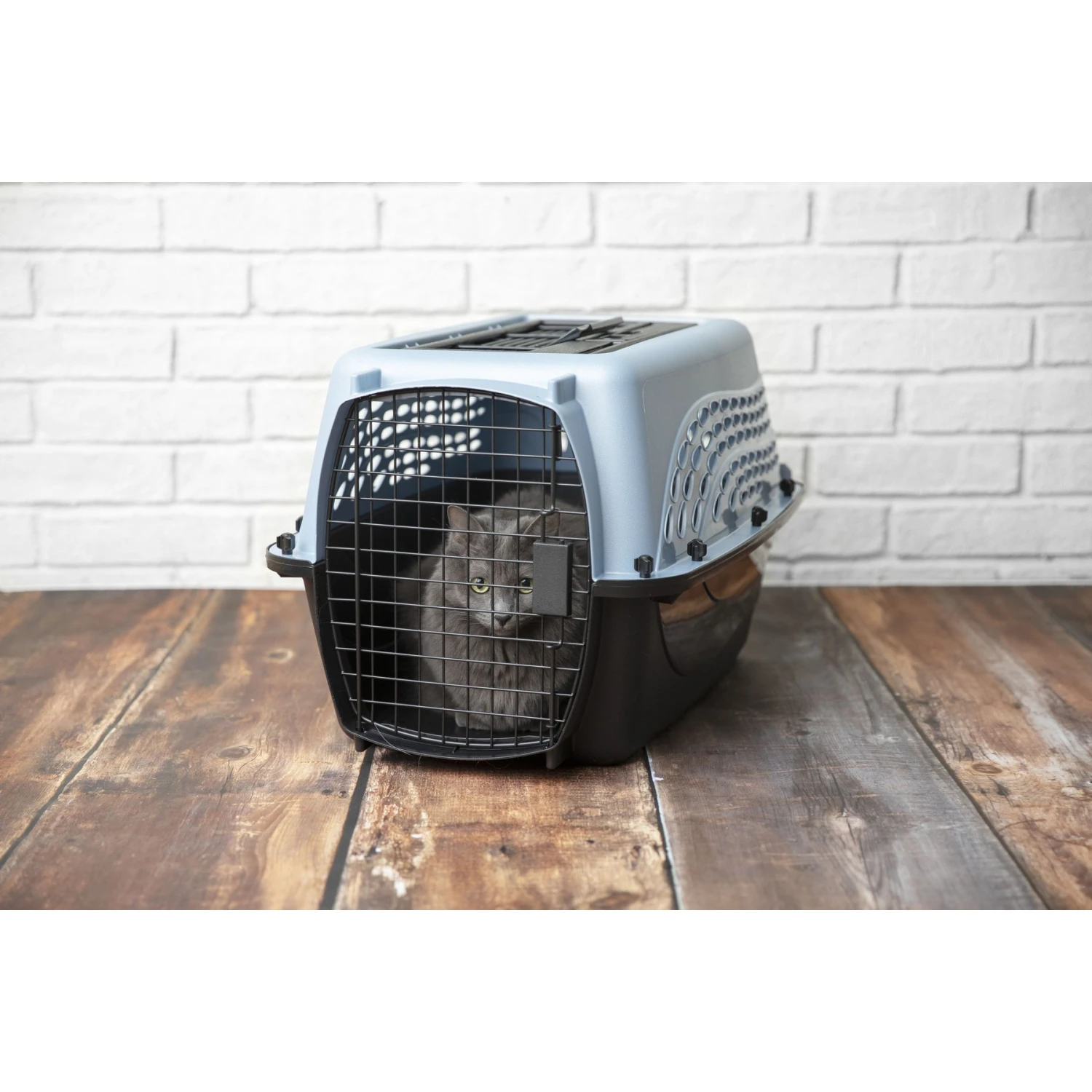 Petmate Two Door Top Load Dog & Cat Kennel 6 Petmate Two Door Top Load Dog & Cat Kennel - Image 4