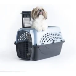 Petmate Two Door Top Load Dog & Cat Kennel 14 Petmate Two Door Top Load Dog & Cat Kennel -Dog Supplies Shop 68695 PT5. AC SS1800 V1553876549