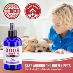 Majestic Pet Room & Linen Calming Lavender Deodorizer Spray, 8-oz Bottle -Dog Supplies Shop 688518 PT3. AC SS1800 V1667598807